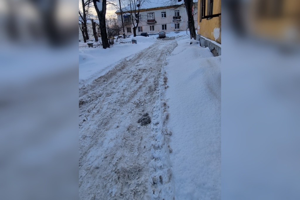 снег 10.jpg