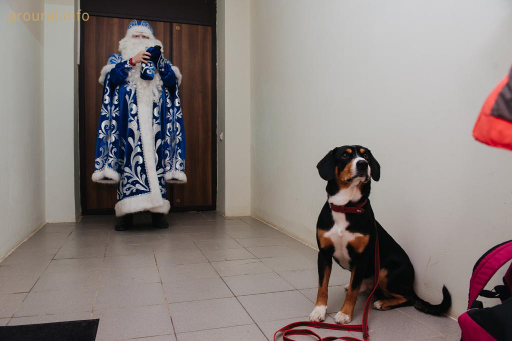 DSC_3540.jpg