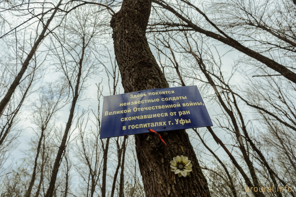 DSC_7152.jpg