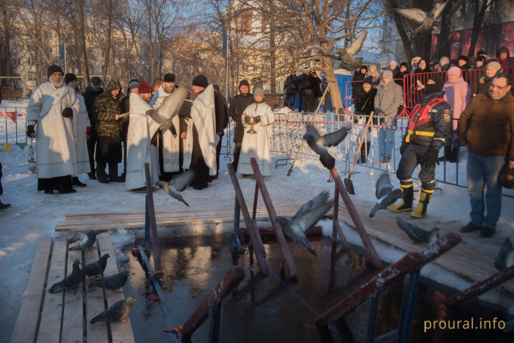 DSC_5853.jpg