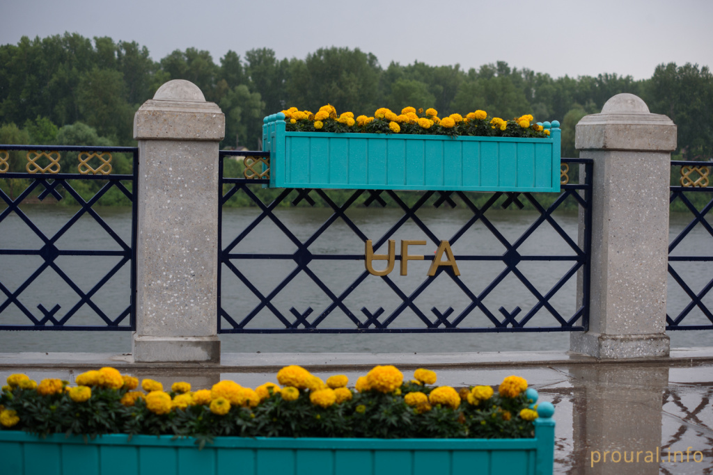 DSC_8756.jpg