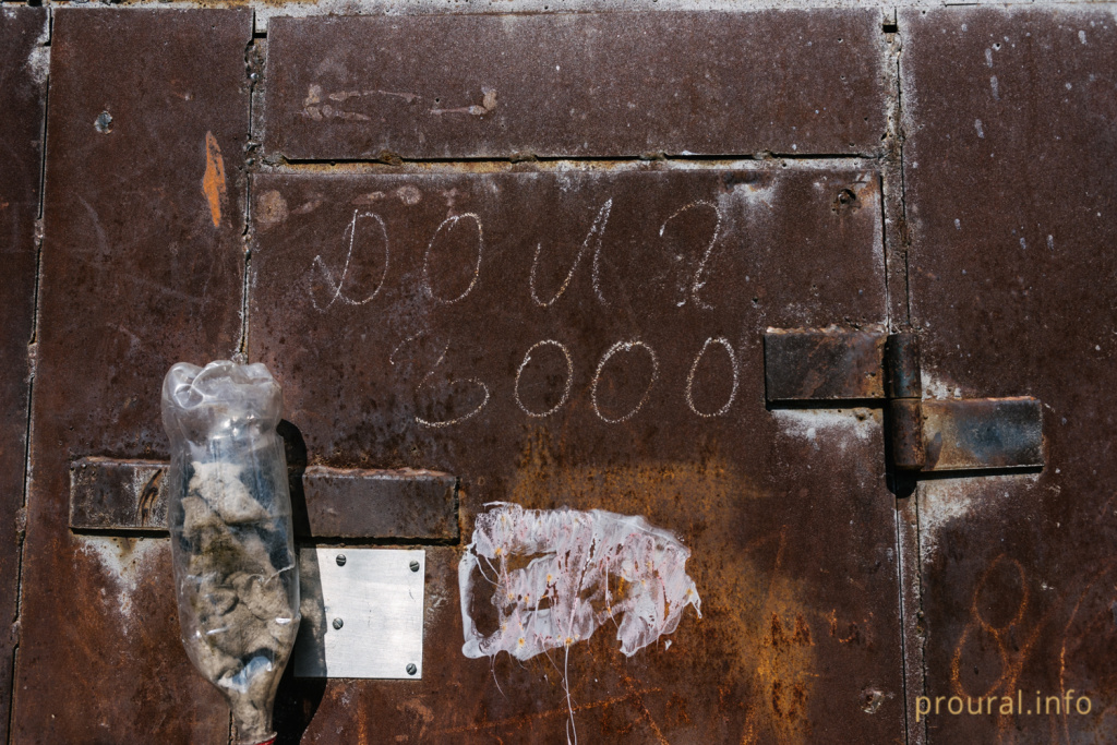 DSC_6068.jpg