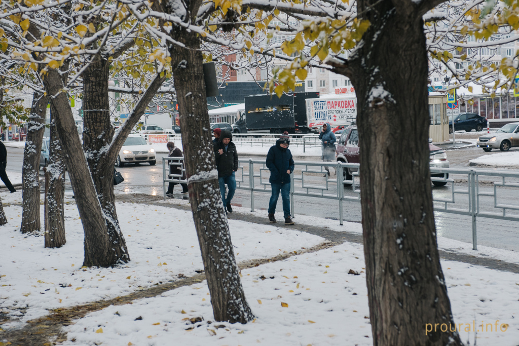 первый снег 2019 улица прохожие город зима (2).jpg