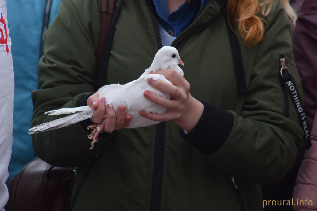 DSC_4757.jpg