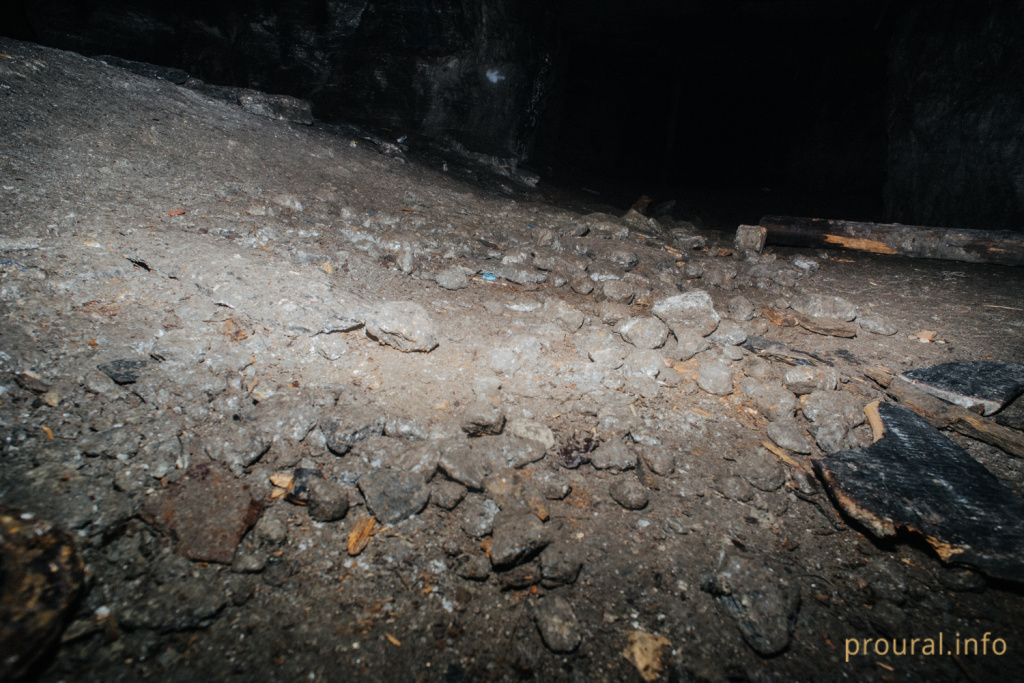 DSC_9878.jpg