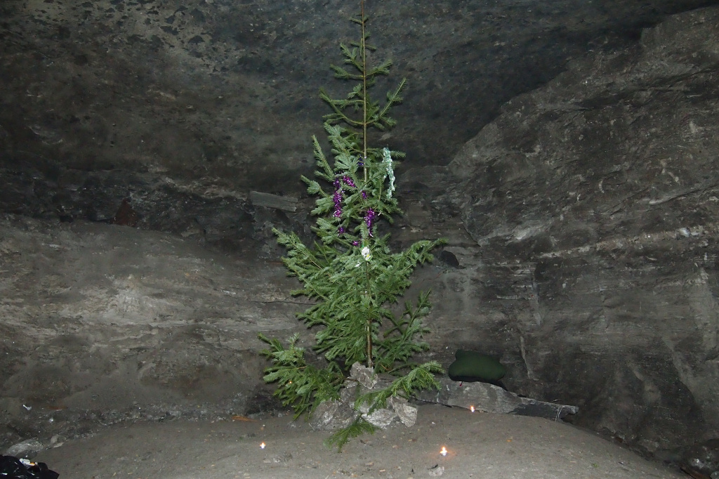 P1012653.JPG