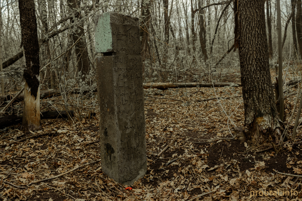DSC_7216.jpg
