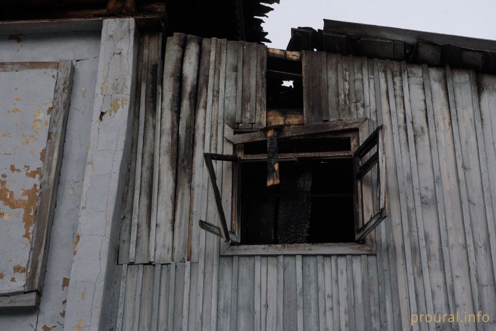 DSC_0705.jpg DSC_0705.jpg