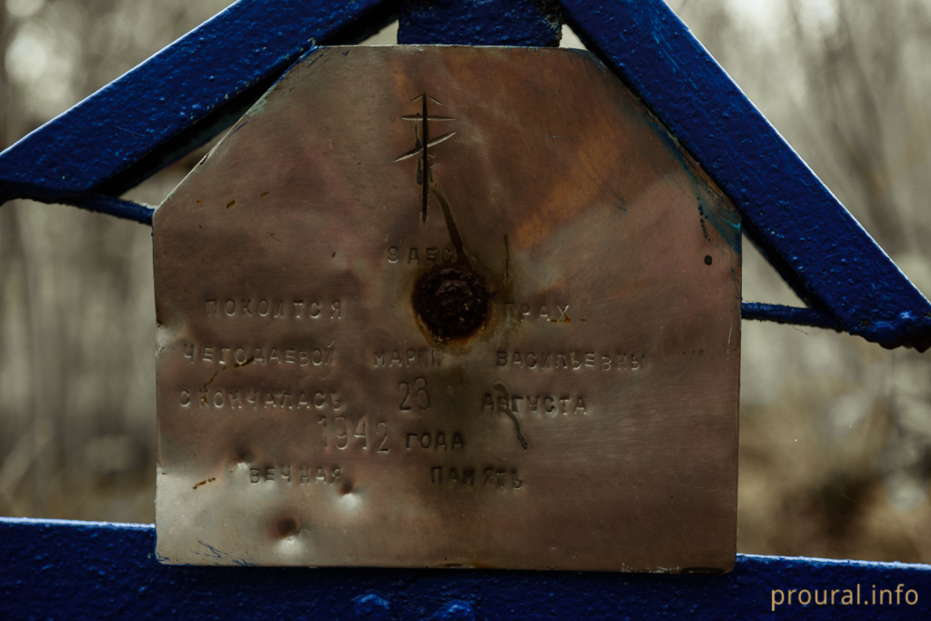 DSC_7223.jpg